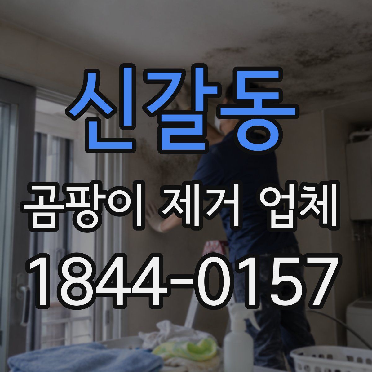 신갈동 곰팡이 제거 업체