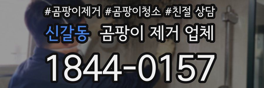 신갈동 곰팡이 제거 업체