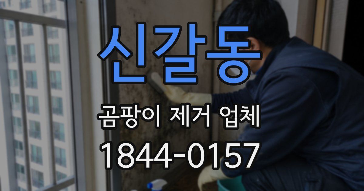 신갈동 곰팡이 제거 업체