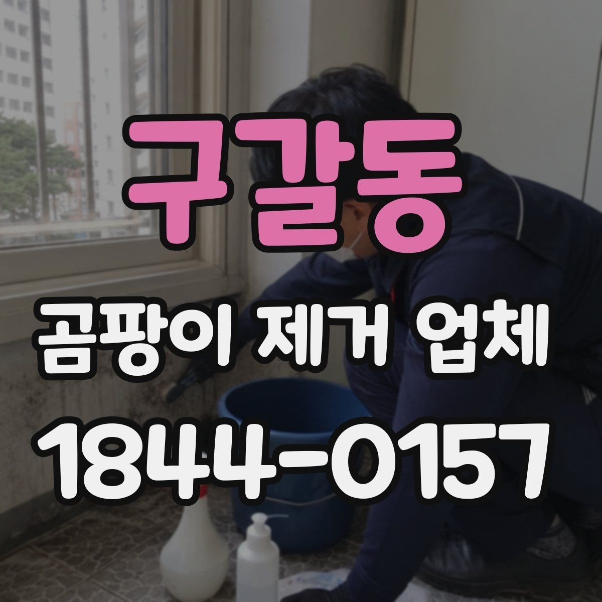 구갈동 곰팡이 제거 업체 작업 후 점검해야 할 마무리 항목