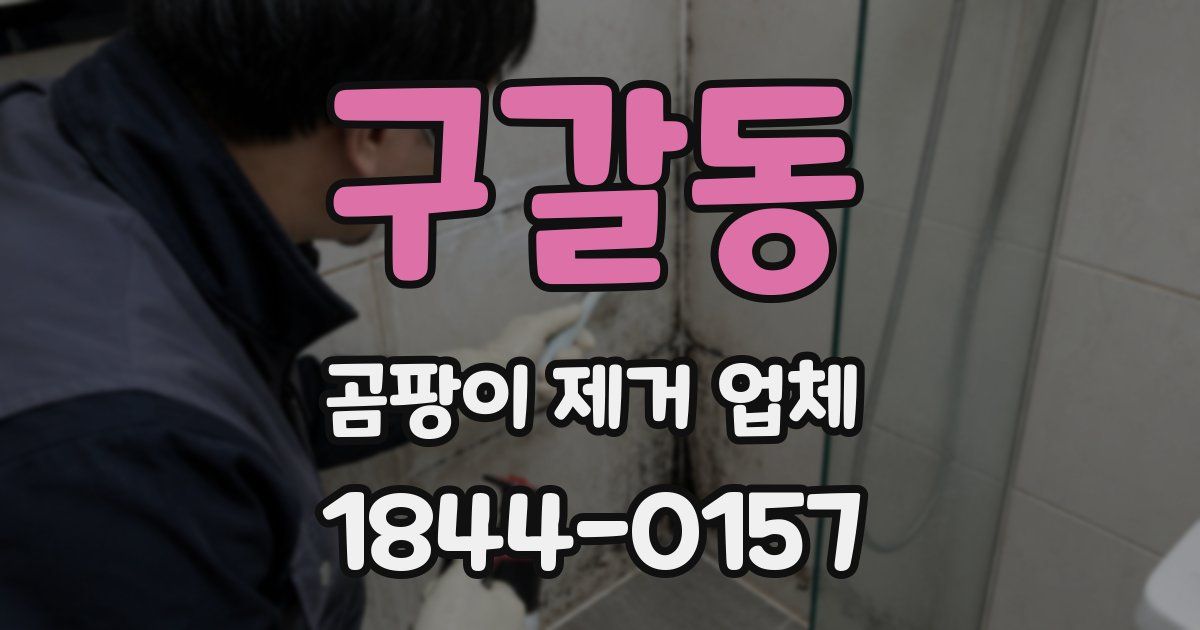 구갈동 곰팡이 제거 업체