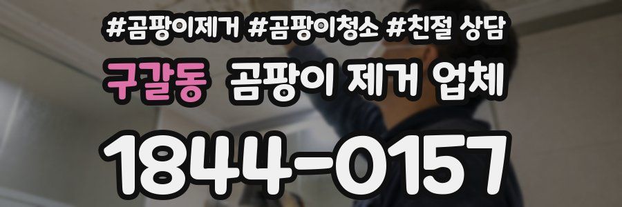 구갈동 곰팡이 제거 업체