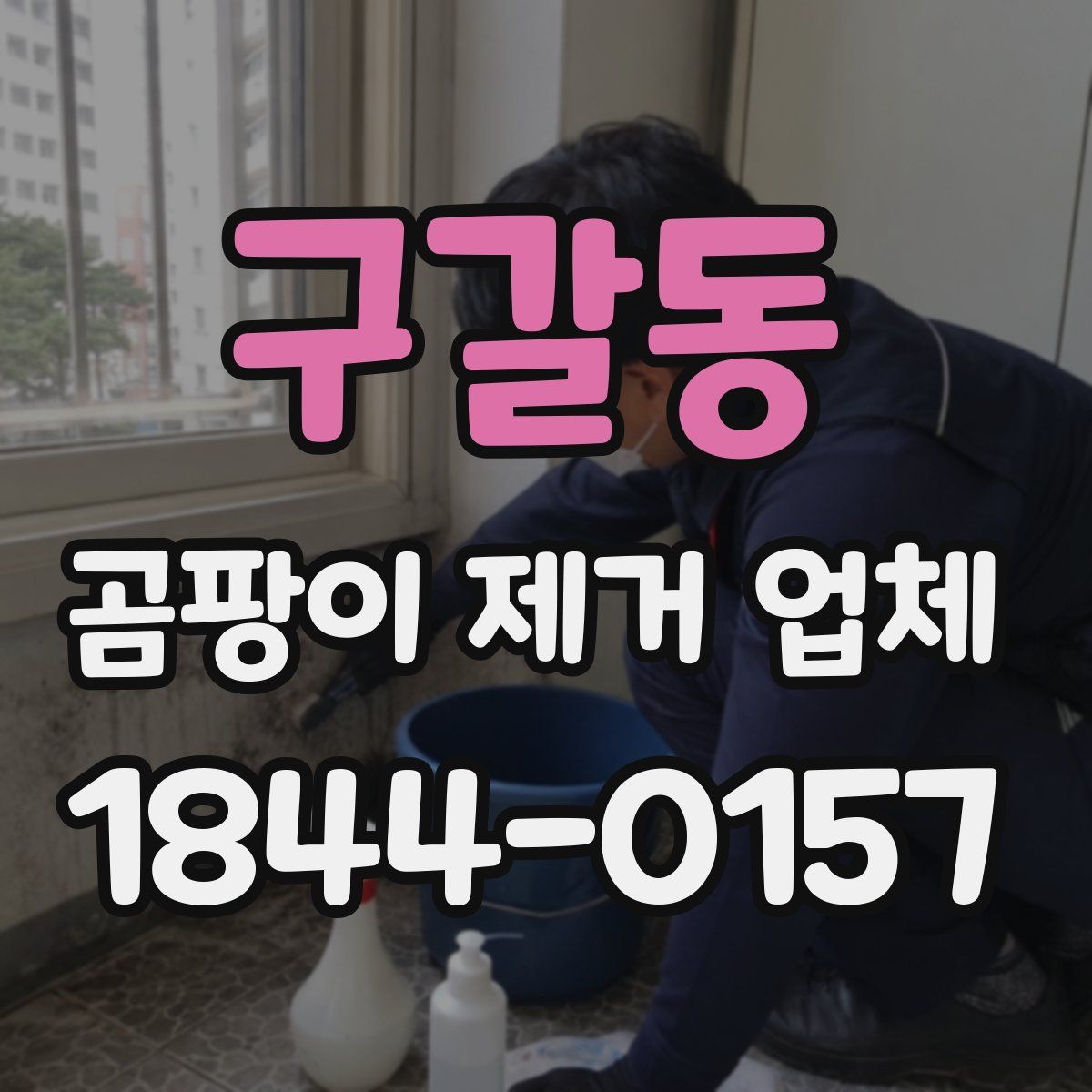 구갈동 곰팡이 제거 업체