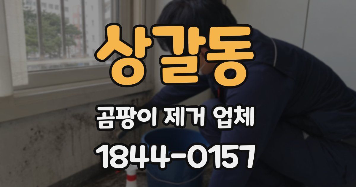 상갈동 곰팡이 제거 업체