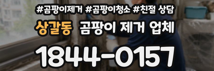 상갈동 곰팡이 제거 업체