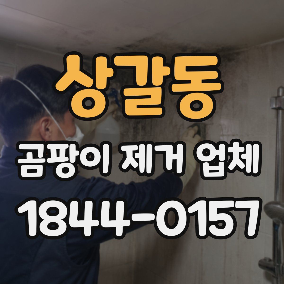 상갈동 곰팡이 제거 업체
