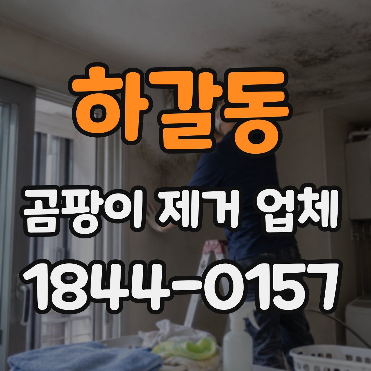 하갈동 곰팡이 제거 업체