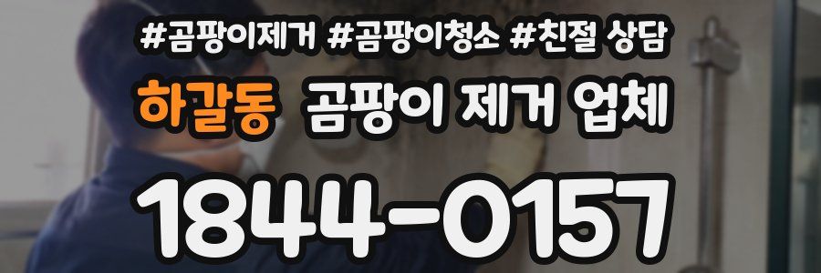 하갈동 곰팡이 제거 업체