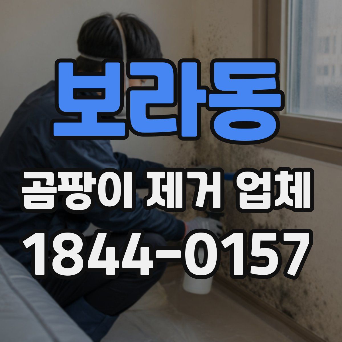 보라동 곰팡이 제거 업체