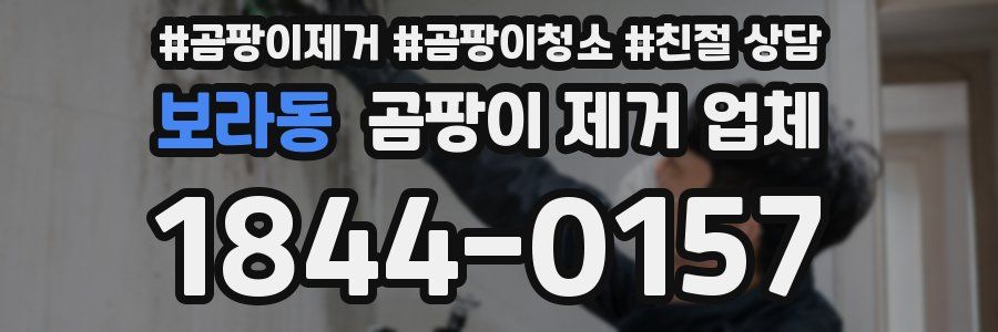 보라동 곰팡이 제거 업체
