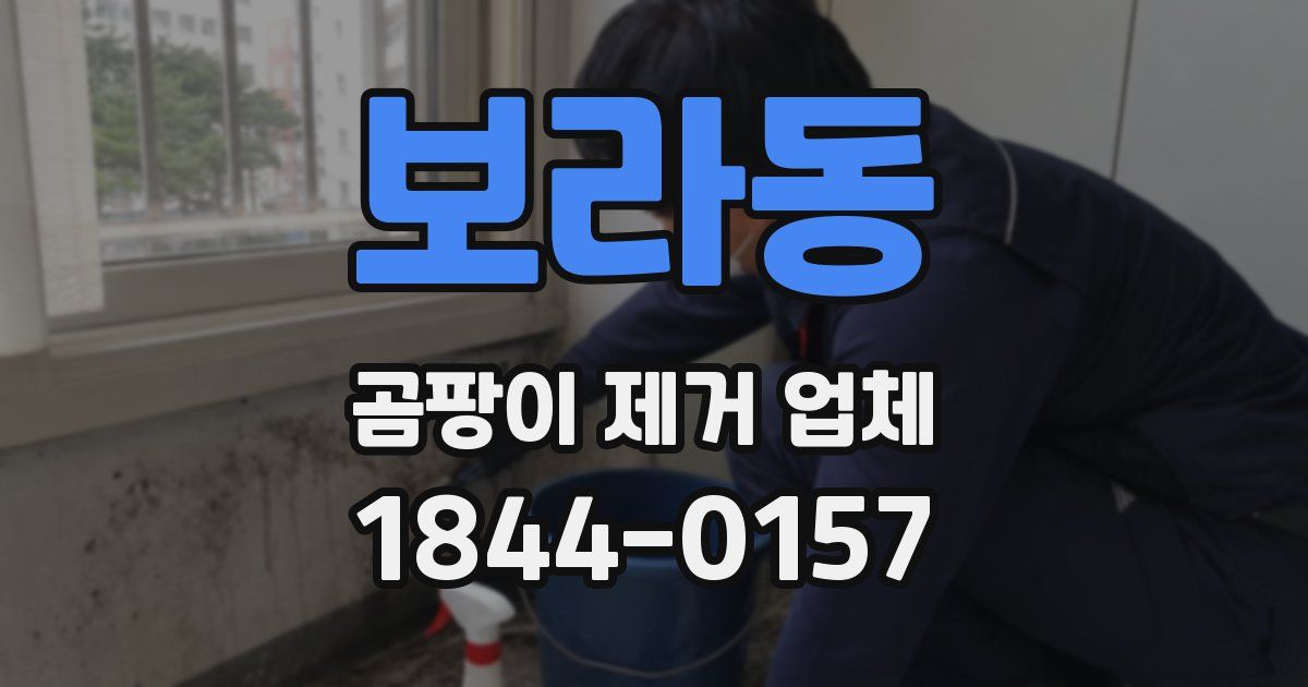 보라동 곰팡이 제거 업체