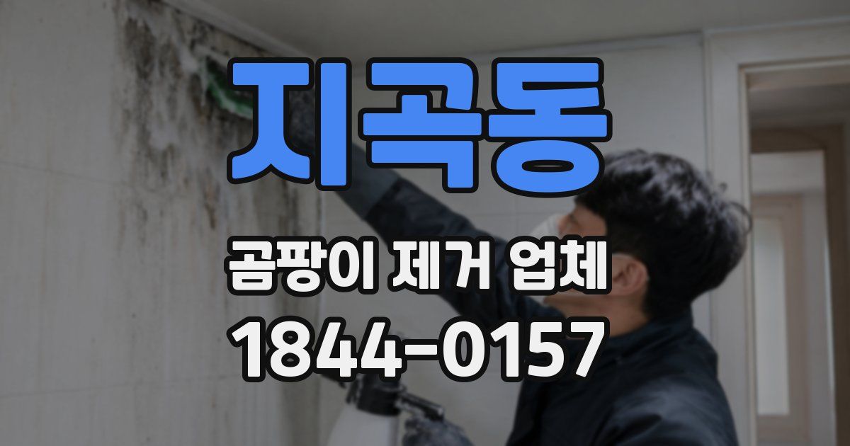 지곡동 곰팡이 제거 업체