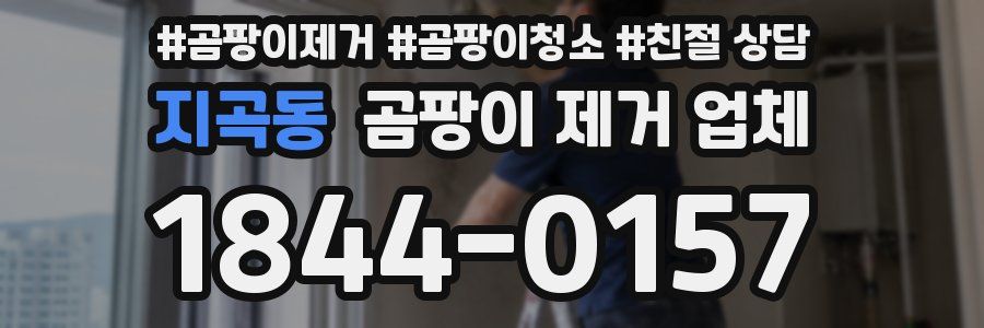 지곡동 곰팡이 제거 업체