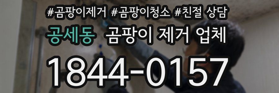 공세동 곰팡이 제거 업체