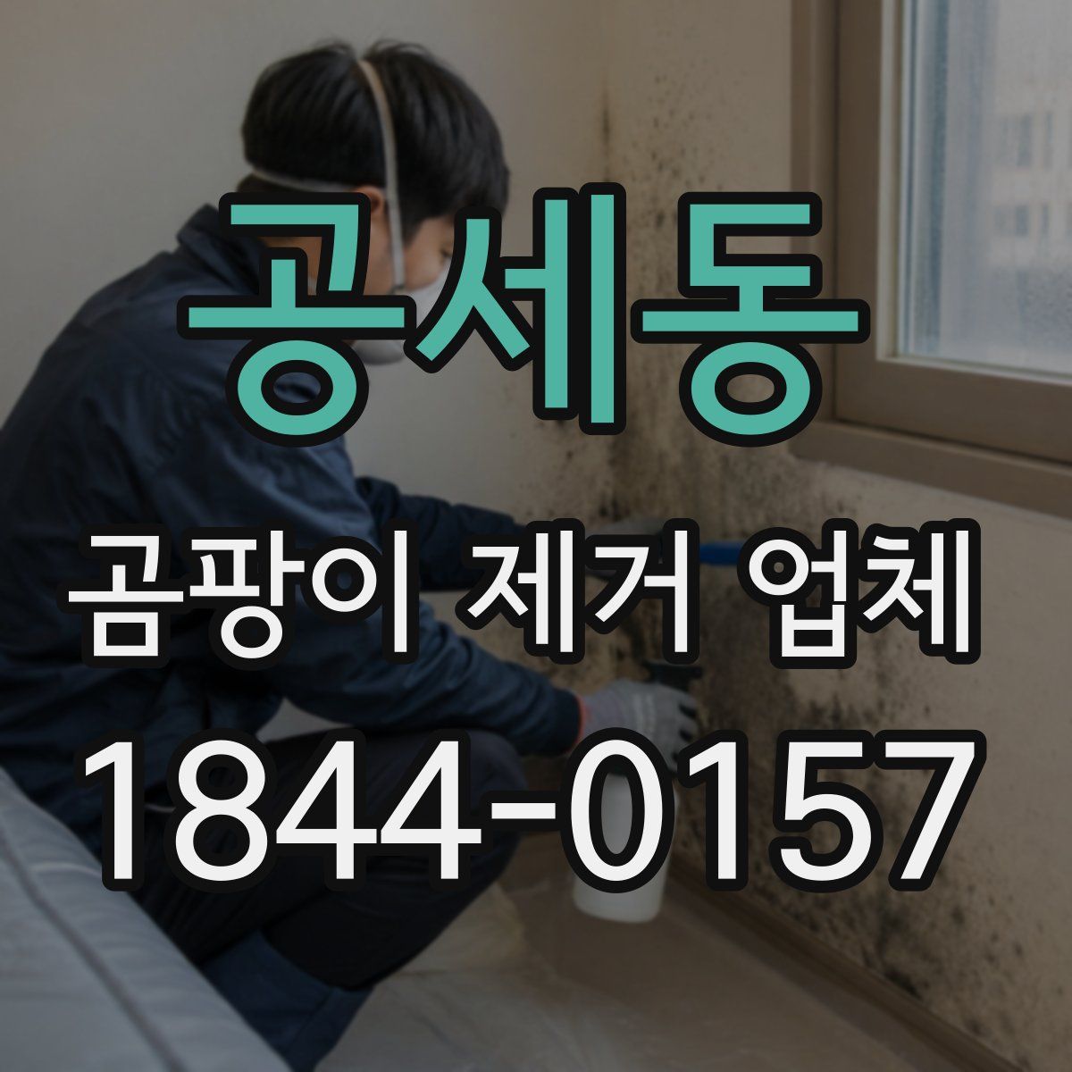 공세동 곰팡이 제거 업체