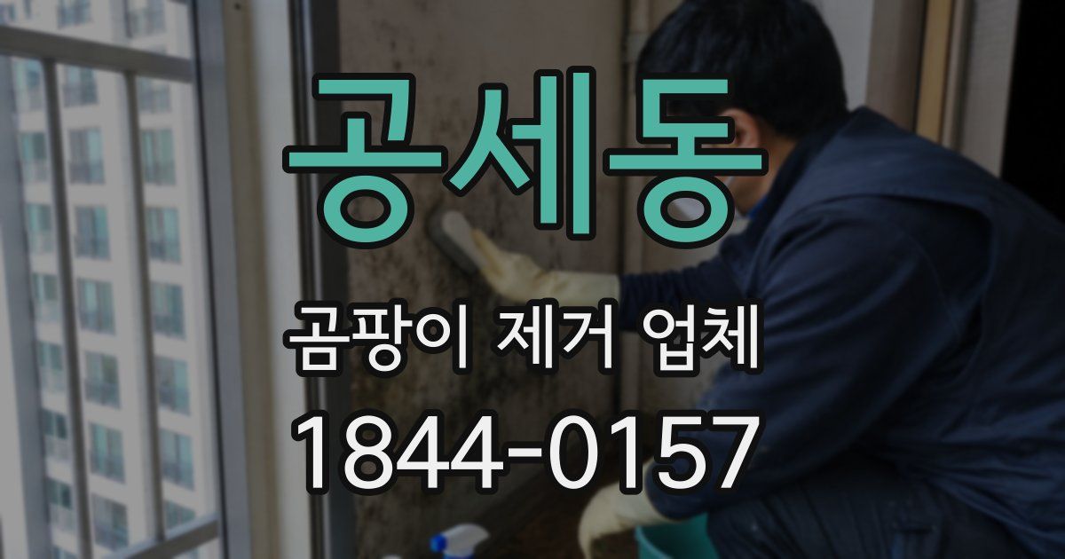공세동 곰팡이 제거 업체