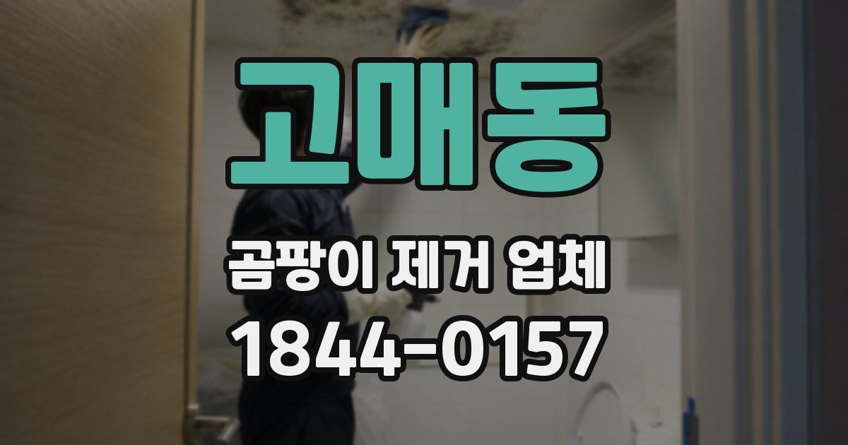 고매동 곰팡이 제거 업체