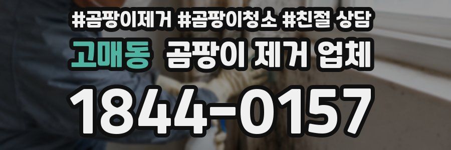 고매동 곰팡이 제거 업체