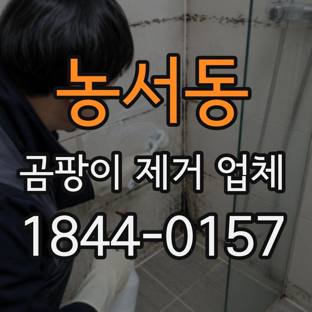농서동 곰팡이 제거 업체 서비스 범위와 진행 순서