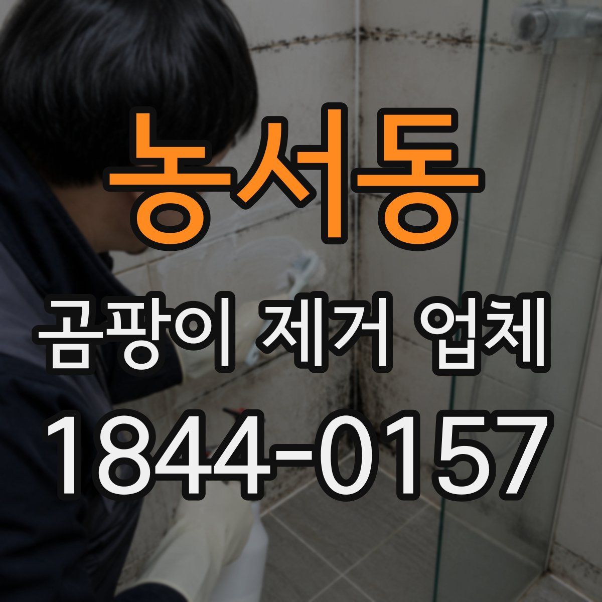 농서동 곰팡이 제거 업체