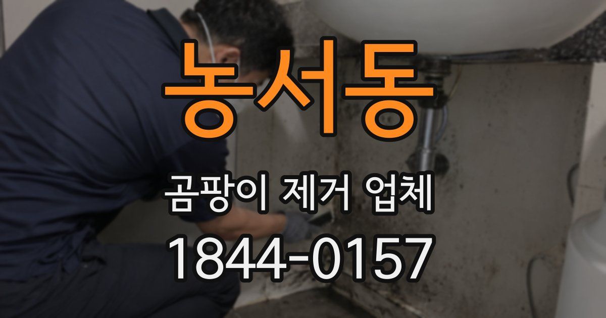 농서동 곰팡이 제거 업체