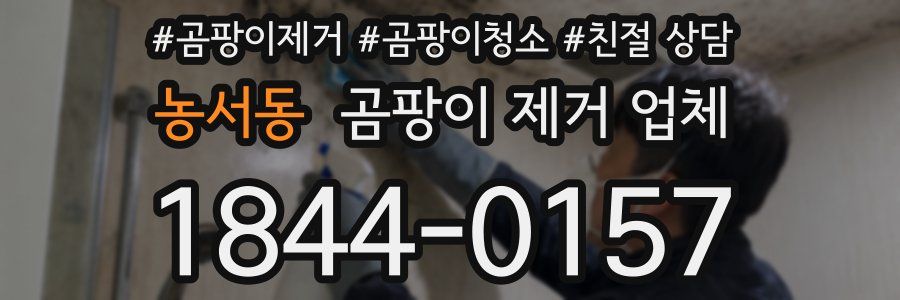 농서동 곰팡이 제거 업체