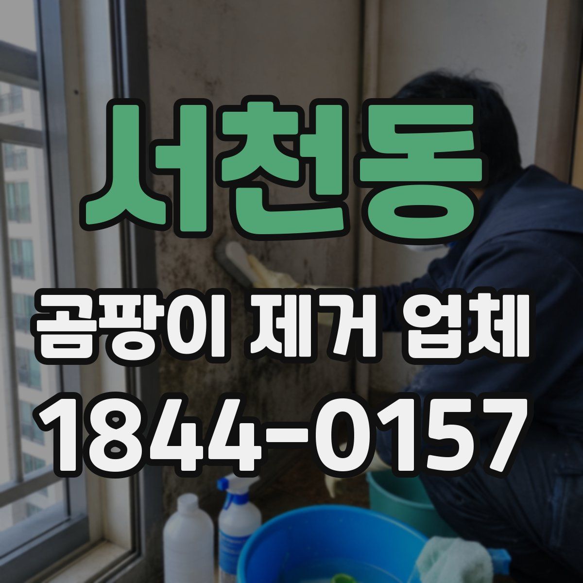 서천동 곰팡이 제거 업체