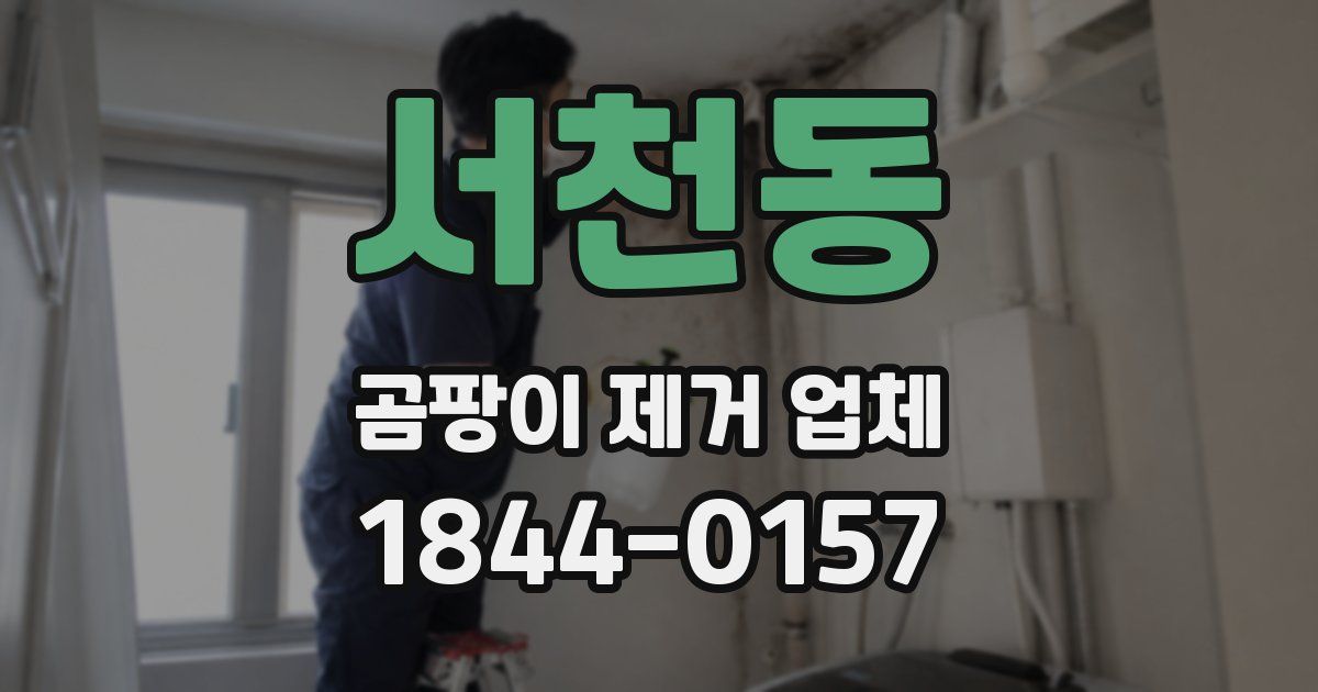 서천동 곰팡이 제거 업체
