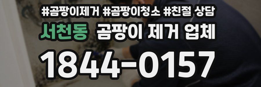 서천동 곰팡이 제거 업체