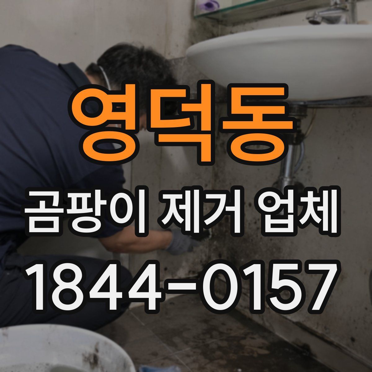 영덕동 곰팡이 제거 업체