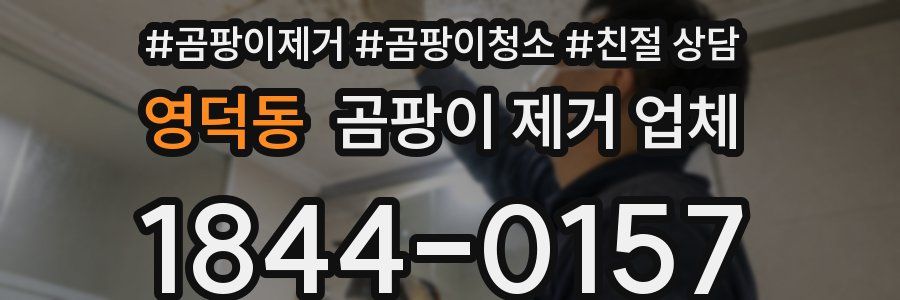 영덕동 곰팡이 제거 업체