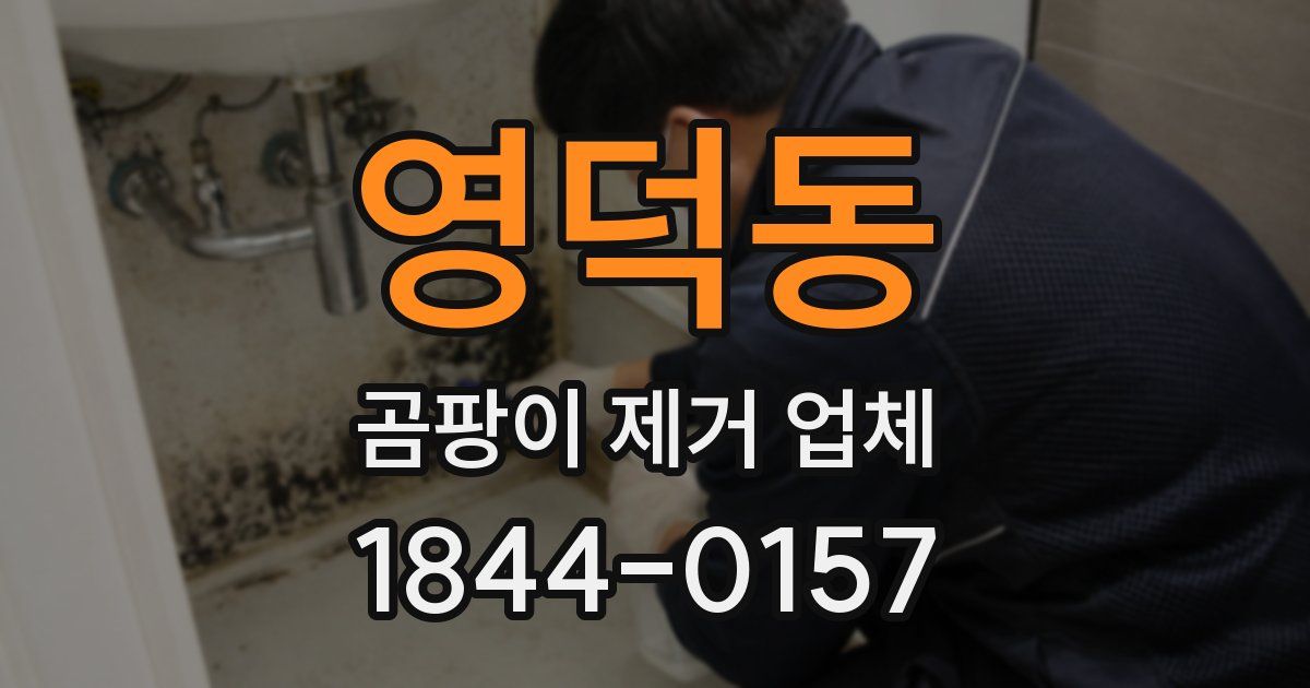 영덕동 곰팡이 제거 업체