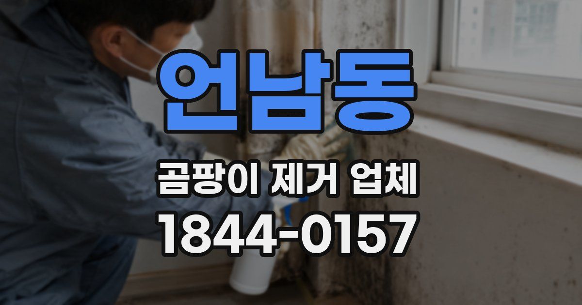 언남동 곰팡이 제거 업체