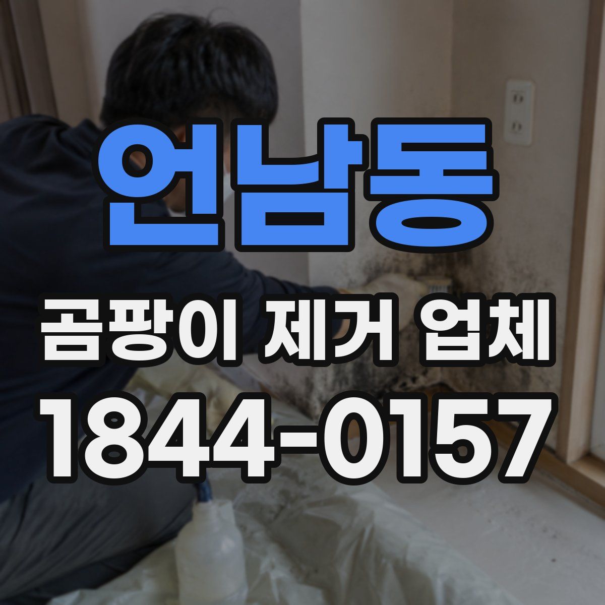 언남동 곰팡이 제거 업체
