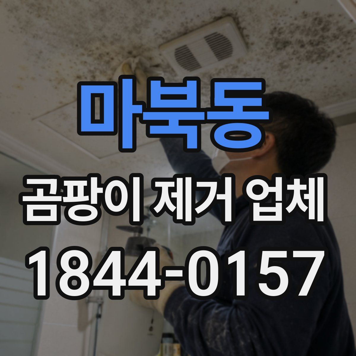 마북동 곰팡이 제거 업체