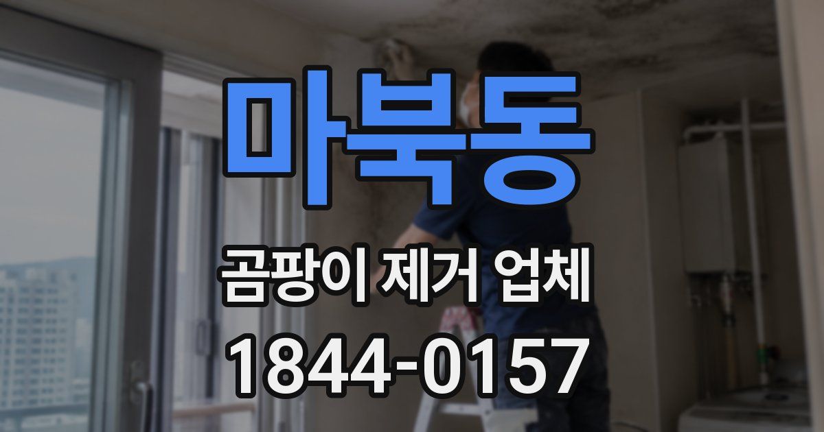 마북동 곰팡이 제거 업체