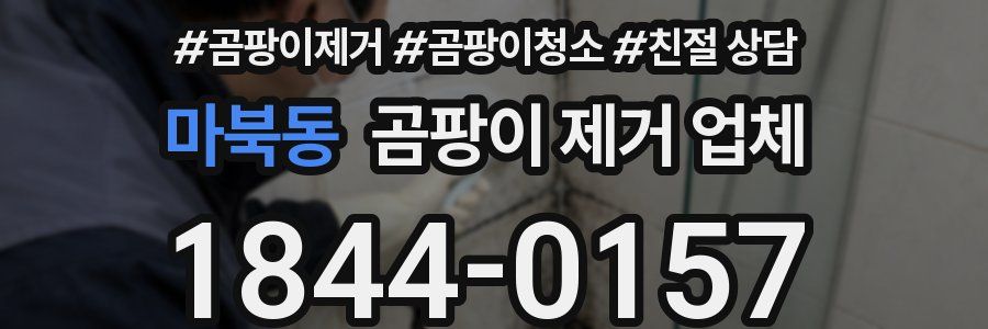 마북동 곰팡이 제거 업체