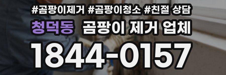 청덕동 곰팡이 제거 업체