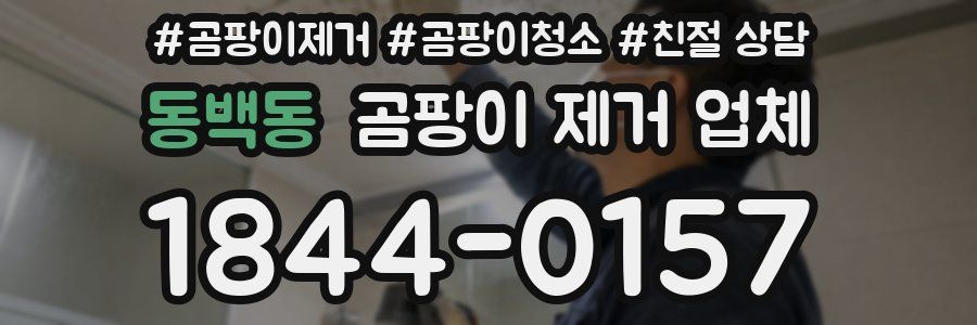 동백동 곰팡이 제거 업체