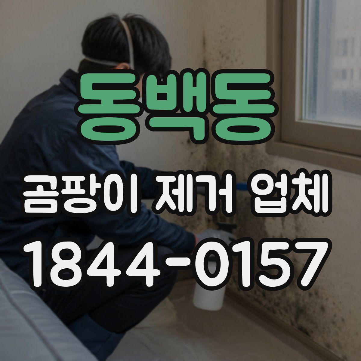 동백동 곰팡이 제거 업체