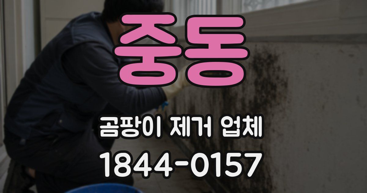 중동 곰팡이 제거 업체