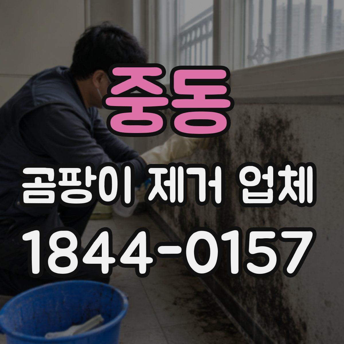 중동 곰팡이 제거 업체