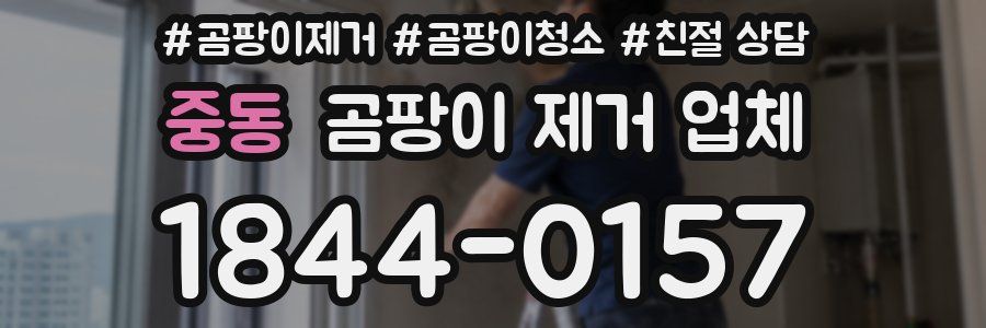 중동 곰팡이 제거 업체