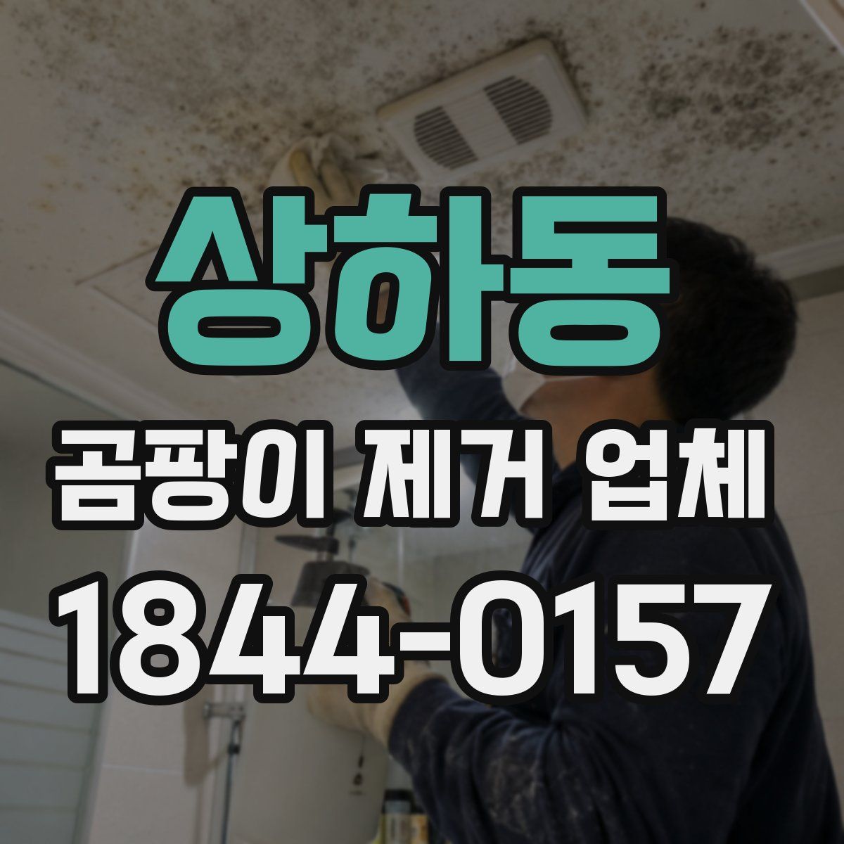 상하동 곰팡이 제거 업체