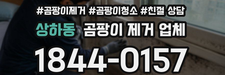 상하동 곰팡이 제거 업체