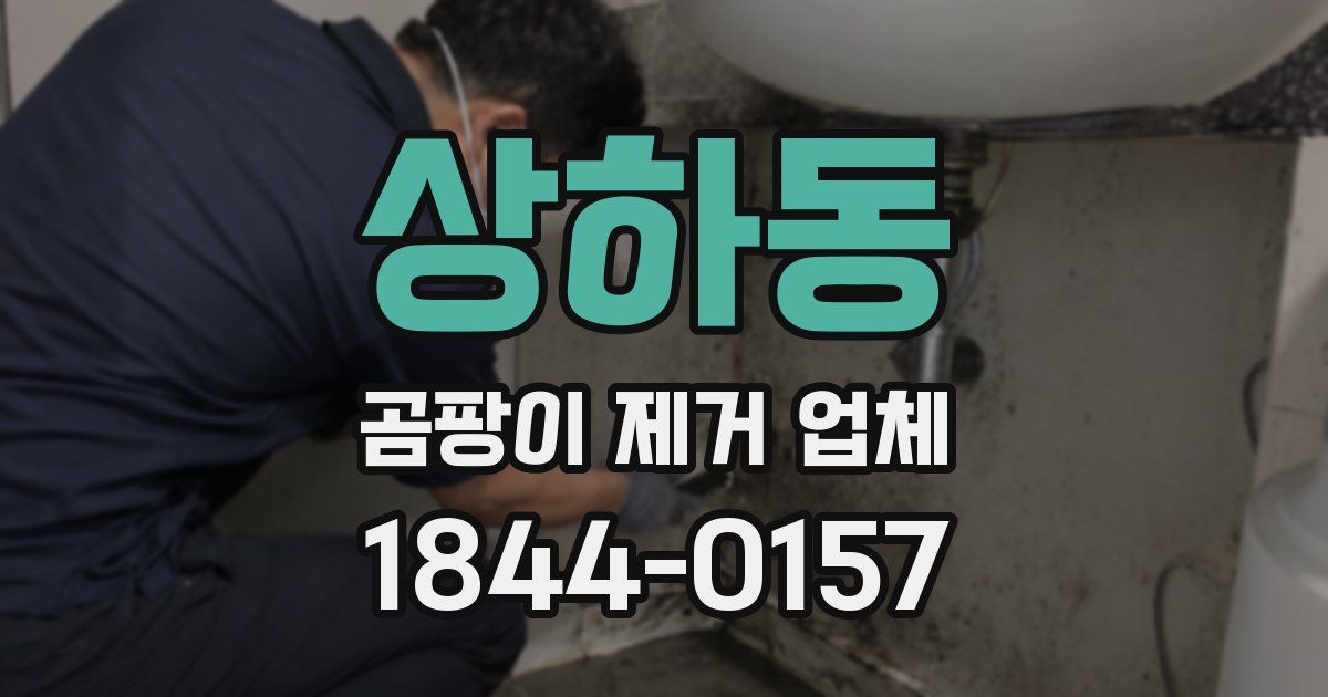 상하동 곰팡이 제거 업체
