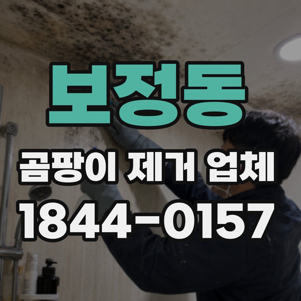 보정동 곰팡이 제거 업체
