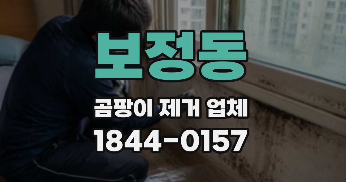 보정동 곰팡이 제거 업체