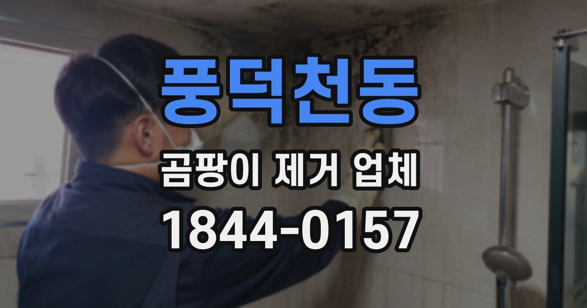 풍덕천동 곰팡이 제거 업체