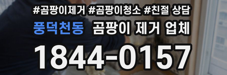 풍덕천동 곰팡이 제거 업체